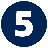 TeamRaiser Achievement Badge